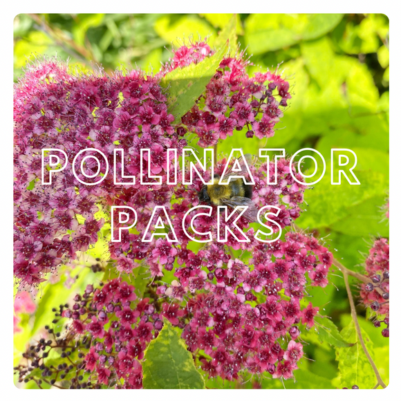 Native Pollinator Friendly Plants