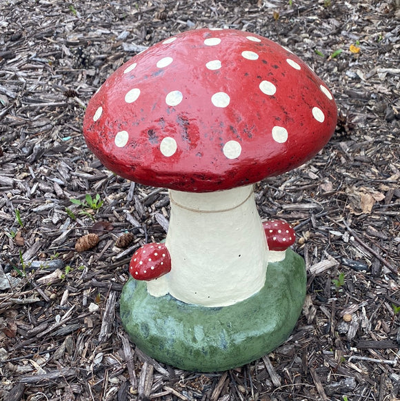 Mushroom - 16