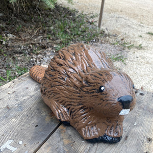 Beaver