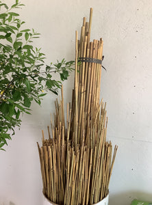 Bamboo Stake