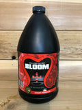 Holland Secret - Bloom